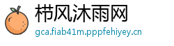 栉风沐雨网